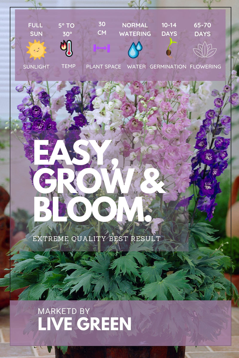 Live Green Imported Seeds - Delphinium Perenne Lakspur Double Mix Flower Seeds Best for Home Gardening - Pack of 0.5gm Seeds