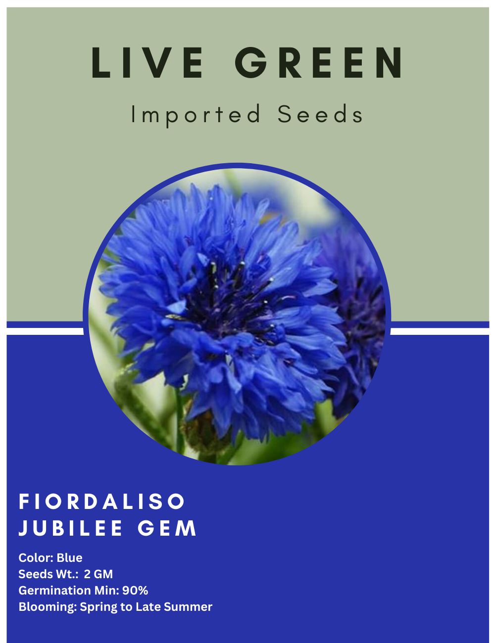 Jubilee Gem Bachelor Buttons Organic Seeds - 100 Seeds