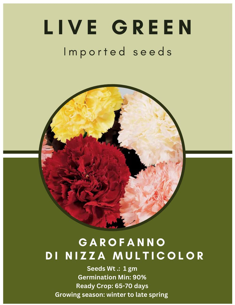 Live Green Imported Seeds - Garofano Nizza Carnation Rose Double Mix Flower Seeds for All Season - Pack of 1gm Seeds