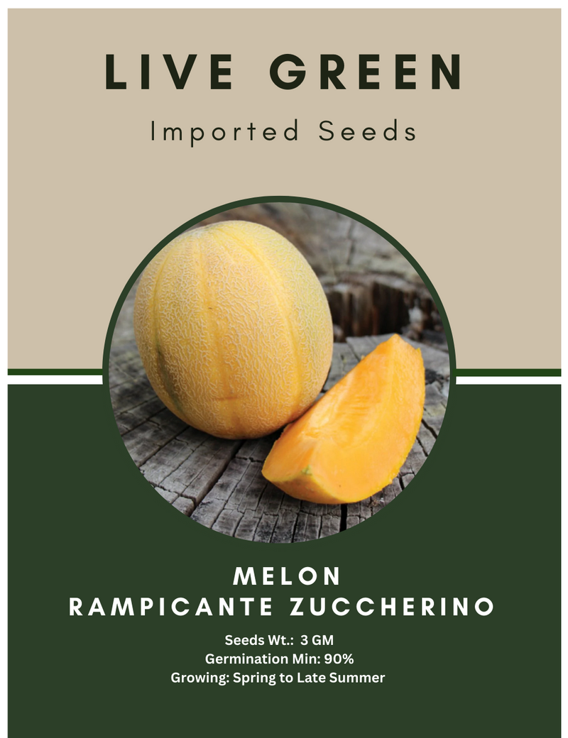 Live Green Imported Seeds - Melone Rampicante Zuccherino Sweet Kharbooja Seeds for Kitchen Garden - Pack of 3gm Seeds