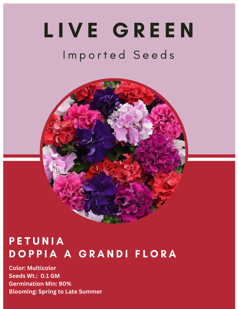 Live Green Imported Seeds - Petunia Double Doppia Grandi Mix Flower Seeds - Pack of 0.1gm Seeds