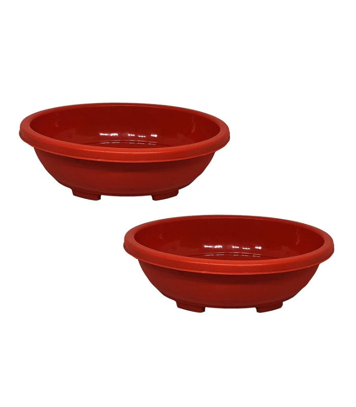 Imperial Oval Bonsai Tray 12 Inch (Pack of 5 Pots Terracotta) By Plantogallery