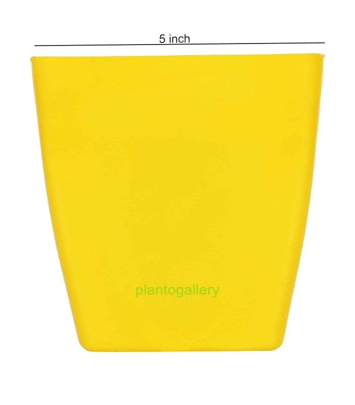Pearl Pot 5 Inch Square Pots (Pack of 5 Pots Yellow)  By Plantogallery