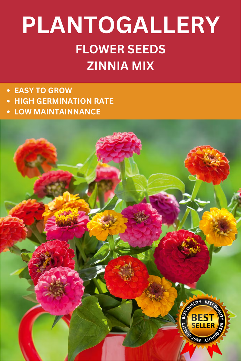 Plantogallery Zinnia Mixed Color Flower Seeds