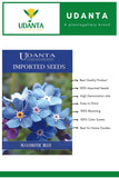 Udanta Imported Flower Seeds - Non Ti Scordar Di Me Myosotis Flower Seeds For Home Gardening - Qty 0.8Gm (Blue) Pack of 2 Pkt