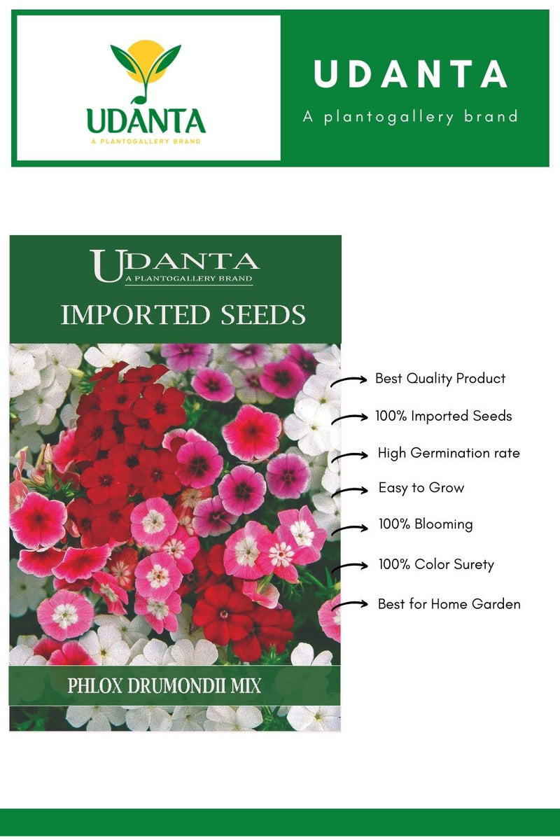 Udanta Imported Flower Seeds - Phlox Drummondii Flower Seeds For Winter Season - Qty 1.5Gm (Mix) Pack of 5 Pkt