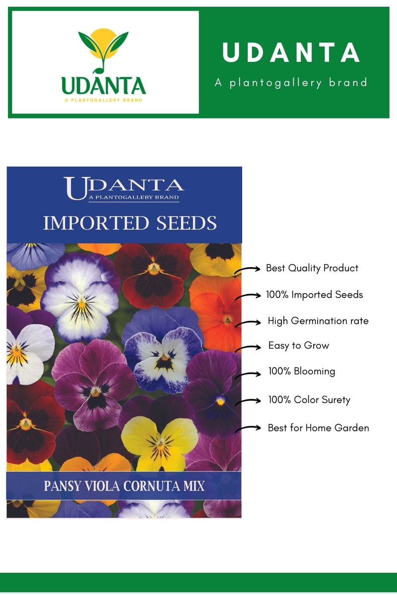 Udanta Imported Flower Seeds - Butterfly Pansy Viola Cornuta Flower Seeds - Qty 1Gm (Mix) Pack of 5 Pkt
