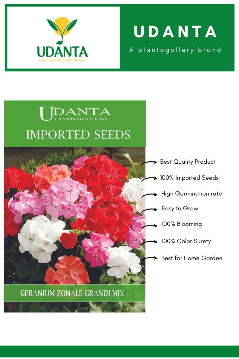 Udanta Imported Flower Seeds - Geranium Geranio Zonale All Season Flower Seeds - Qty 0.2Gm (Mix) Pack of 2 Pkt