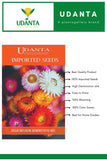 Udanta Imported Flower Seeds -  Elicriso Semprevivo - Helichrysum Flower Seeds For Gardening - Qty 1.5Gm (Mix) Pack of 2 Pkt