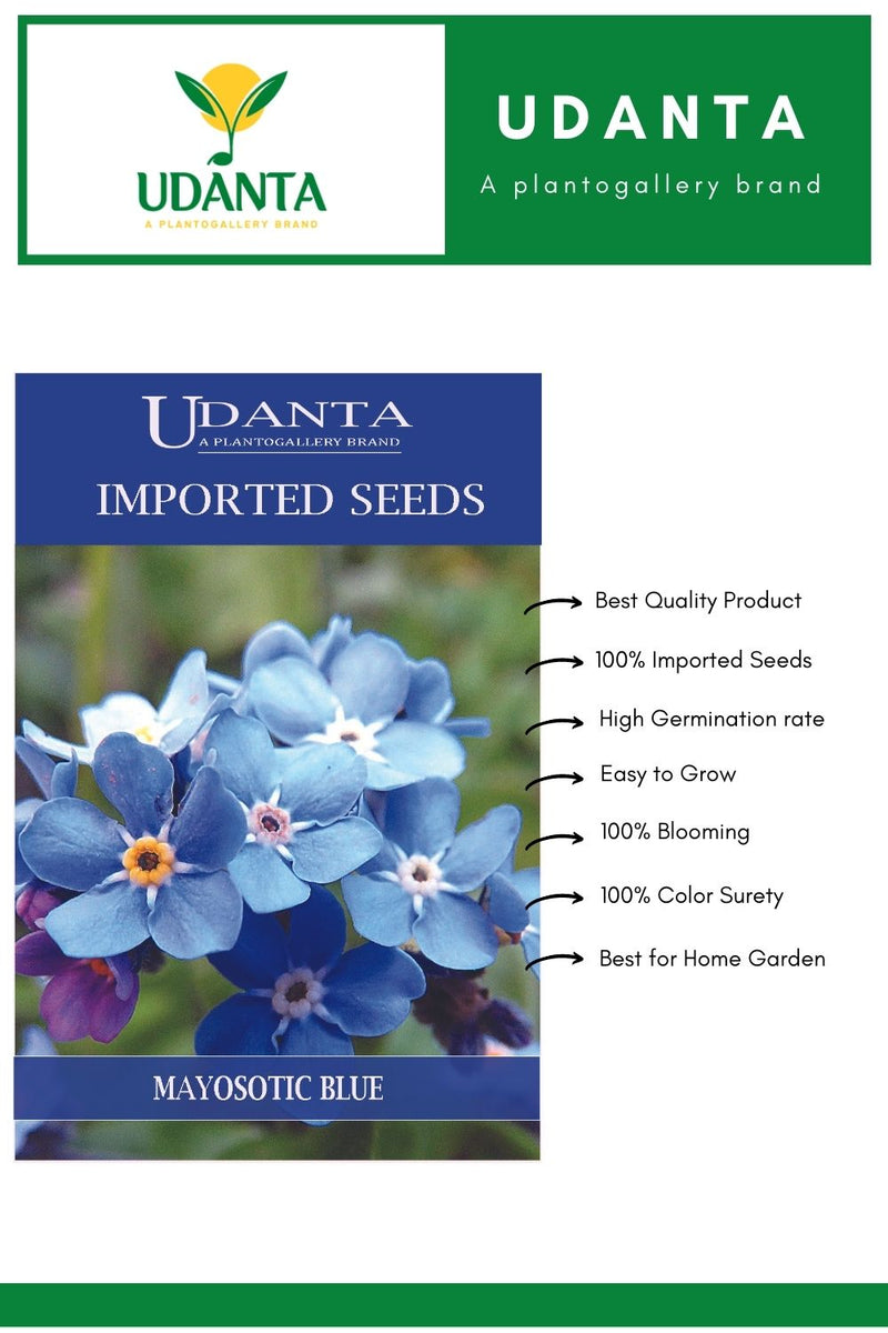 Udanta Imported Flower Seeds - Non Ti Scordar Di Me Myosotis Flower Seeds For Home Gardening - Qty 0.8Gm (Blue) Pack of 5 Pkt
