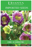 Udanta Imported Flower Seeds - Cobea Scandens Rampicante Erennial Showy Vine Flower Seeds - Qty 0.5Gm (Mix) Pack of 2 Pkt