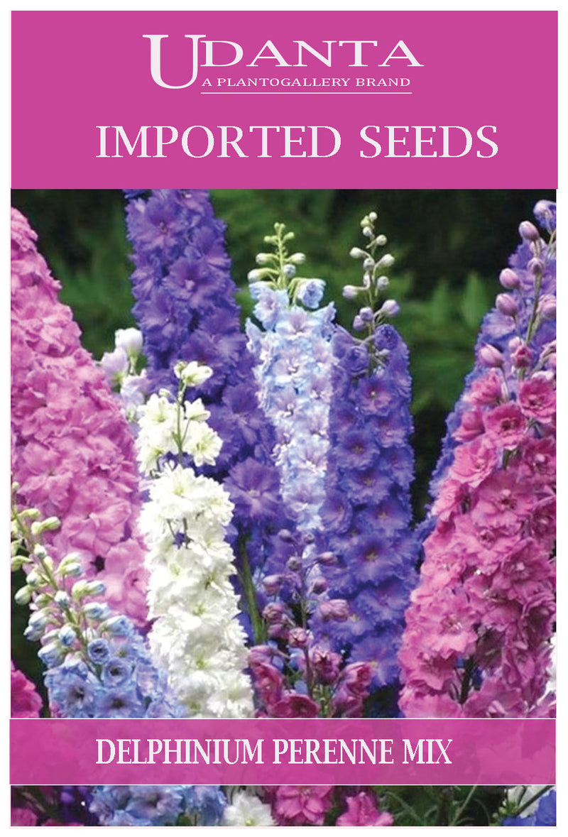 Udanta Imported Flower Seeds - Delphinium Perenne Lakspur Double Flower Seeds - Qty 0.5Gm (Mix) Pack of 2 Pkt