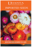 Udanta Imported Flower Seeds -  Elicriso Semprevivo - Helichrysum Flower Seeds For Gardening - Qty 1.5Gm (Mix) Pack of 2 Pkt