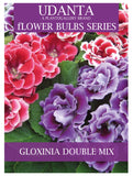 Udanta Gloxinia Tuberous Double Mix Flower Bulbs - Qty 5pcs