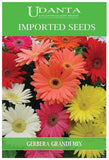 Udanta Imported Flower Seeds - Gerbera Ibrida Grandi For All Season Gardening Flower Seeds - Qty 0.2Gm (Mix) Pack of 5 Pkt