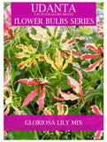 Udanta Gloriosa Lily Climber Flower Bulbs For Summer Gardening - Pack of 10 Bulbs (Red) ( Set OF 5 Pkt)