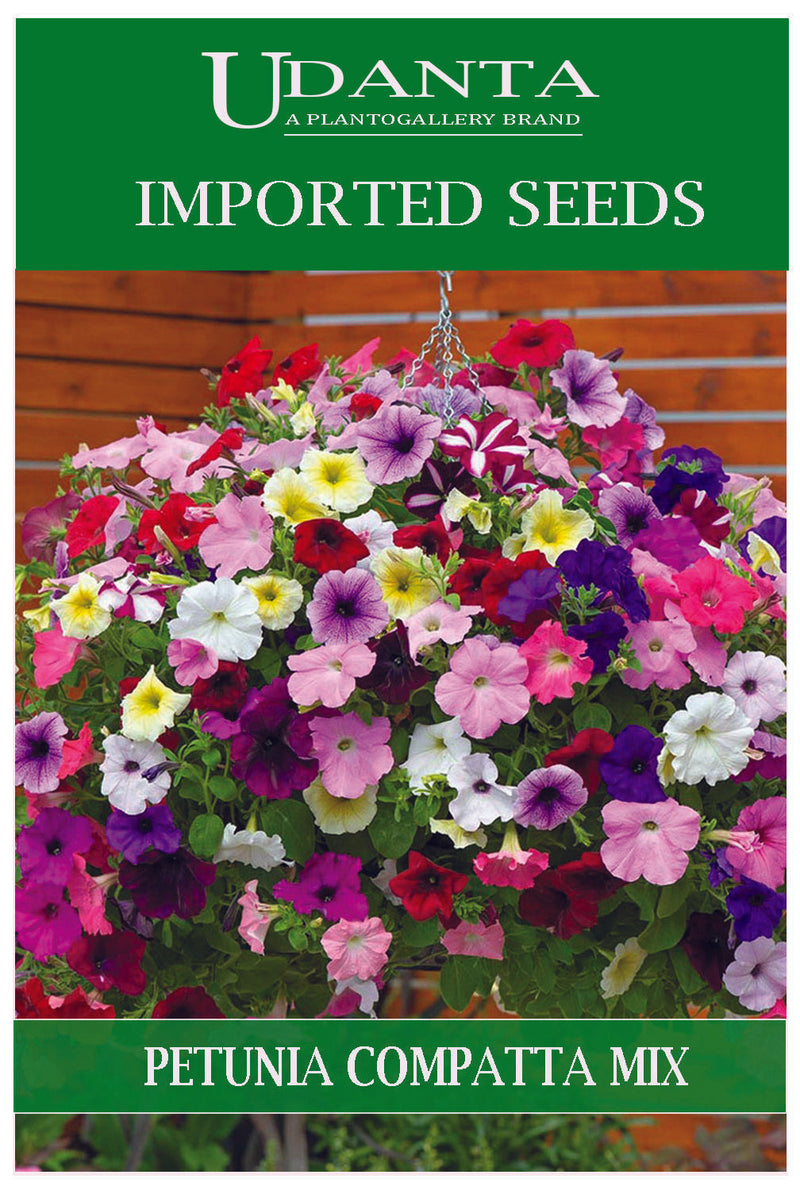 Udanta Imported Flower Seeds - Petunia Nana Compatta Flower Seeds - Qty 0.5Gm (Mix) Pack of 5 Pkt