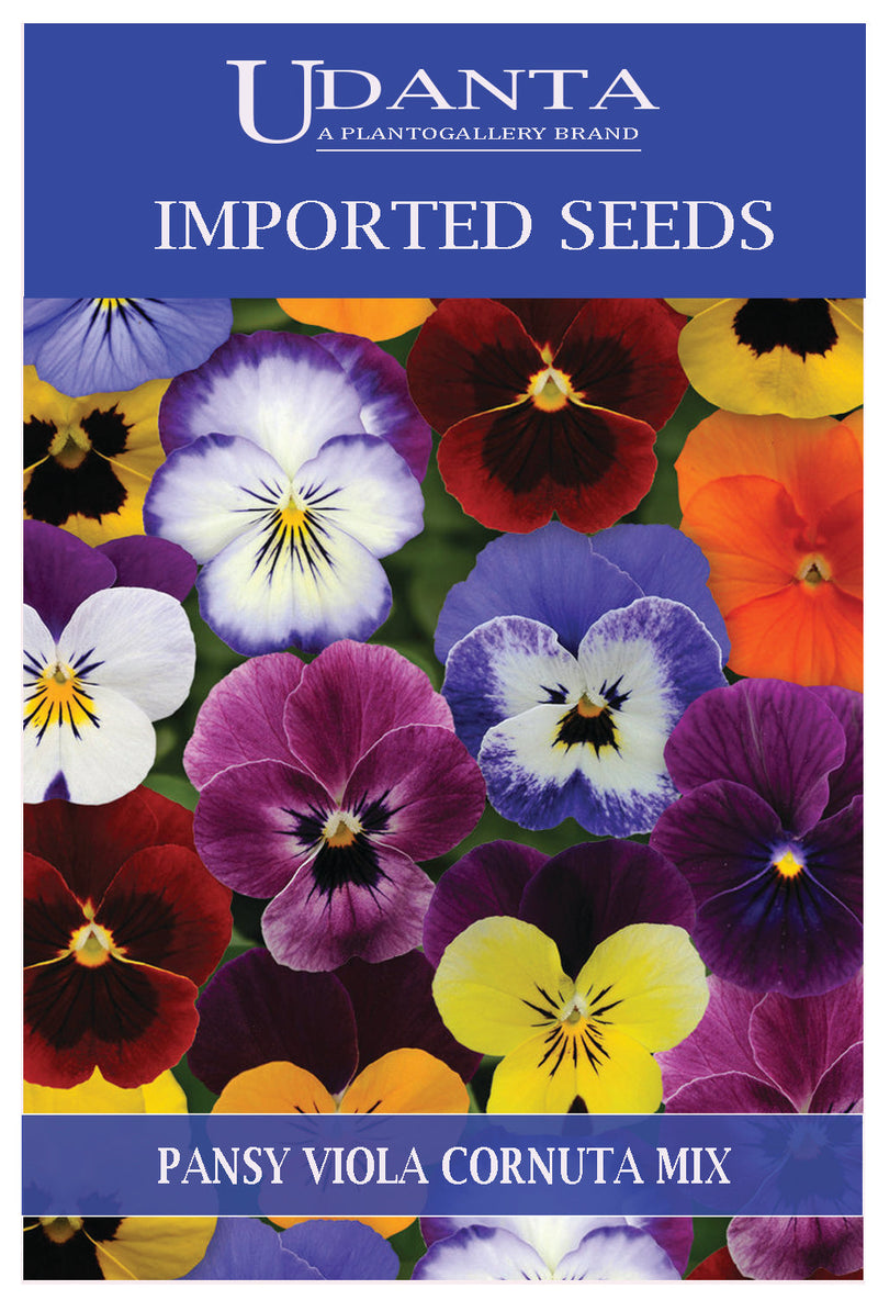Udanta Imported Flower Seeds - Butterfly Pansy Viola Cornuta Flower Seeds - Qty 1Gm (Mix) Pack of 5 Pkt