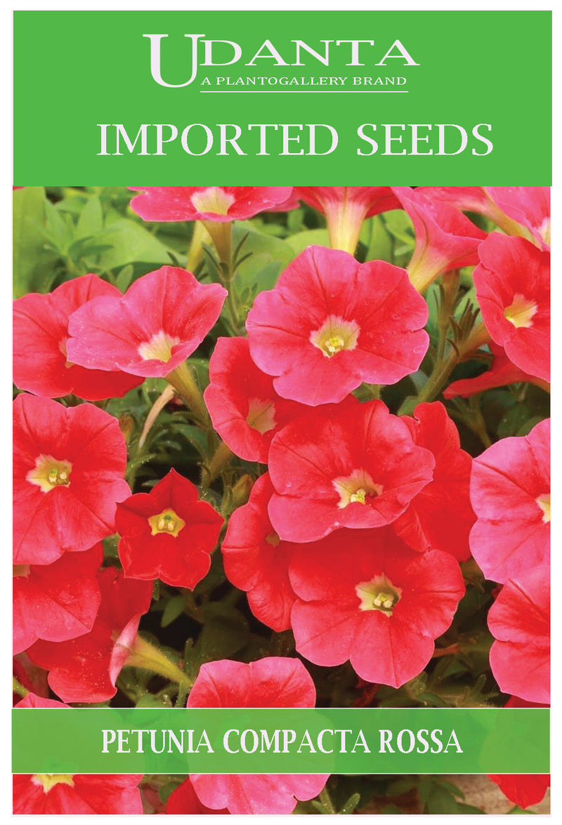 Udanta Imported Flower Seeds - Petunia Nana Compatta Rossa Flower Seeds - Qty 0.5Gm (Light Pink) Pack of 2 Pkt