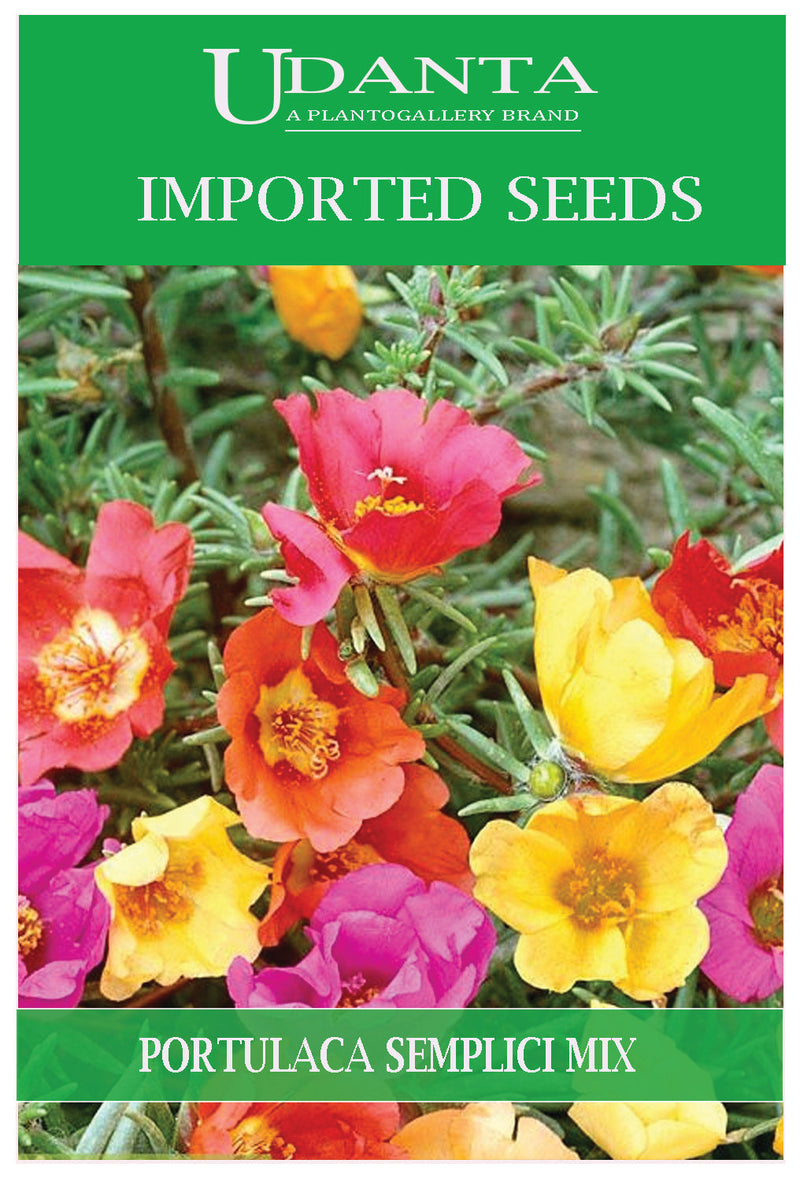 Udanta Imported Flower Seeds - Portulaca Fiori Semplici Flower Seeds For Perennial Gardening - Qty 1Gm (Mix) Pack of 5 Pkt