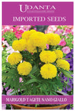 Udanta Imported Flower Seeds - Tagete Nano Fiori Doppio Giallo Marigold Yellow Flower Seeds - Qty 2Gm (Pure Yellow) Pack of 2 Pkt