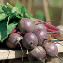Chukandar -Beetroot Seeds for Home Gardening - Pack of 50 Seeds