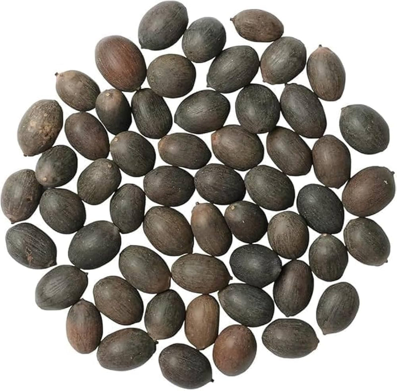 Japanese Lotus seeds for Your Home Gardening - Pack 25 Seeds