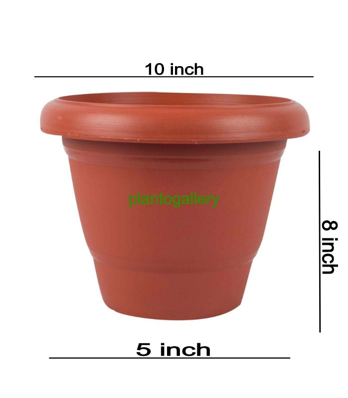Plastic Round Flower Pot 10 Inch (Pack of 5 Pots Terracotta)  By Plantogallery