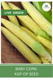 Live Green Baby Corn Vegetable Seeds - Pack of 20 Seeds (OP)