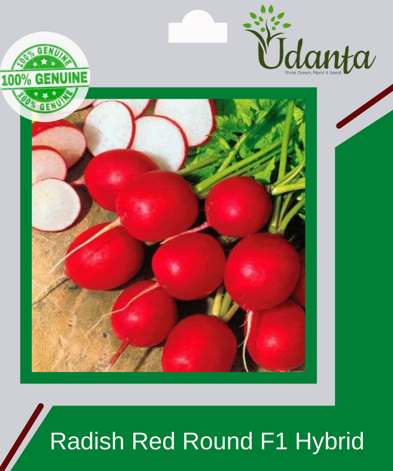 Plantogallery Radish Red Round Vegetable Seeds For Home Gardening