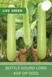 Live Green Bottle gourd long Vegetable Seeds - Pack of 20 Seeds (OP)