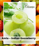 Plantogallery I Amla – Indian Gooseberry Plant Seeds