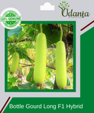 Plantogallery I Bottle Gourd Long Vegetable Seeds For Home Gardening