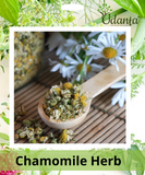 Plantogallery I Chamomile Herb Seeds