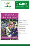 Udanta Imported Flower Seeds - Campanula Grandi Fiori Bellflowers For Home Gardening Flower Seeds - Qty 2Gm (Mix)