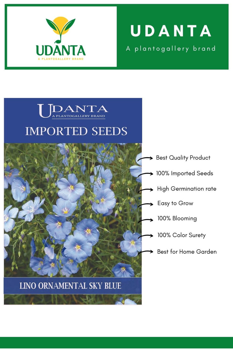 flax flower seeds blue