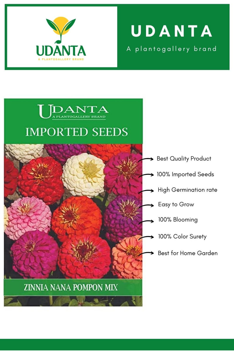 zinnia mix flower seeds