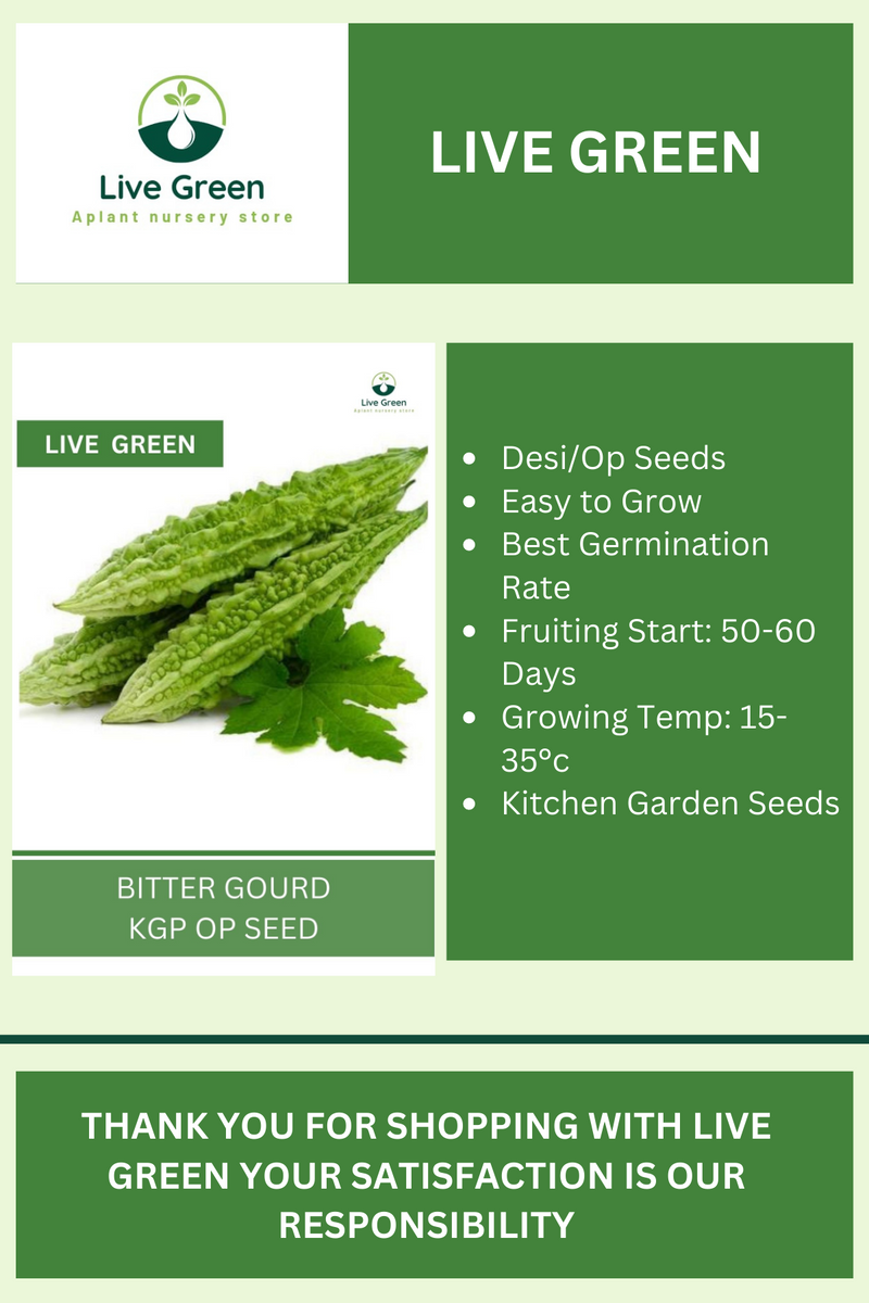 Live Green Bitter Gourd Vegetable Seeds - Pack of 20 Seeds (OP)