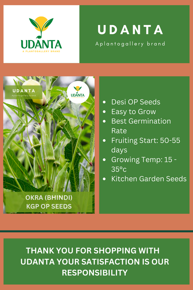 Udanta Okra Harsit Vegetable Seeds For Kitchen Garden Avg 20 Seeds Pkts