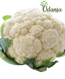 Plantogallery  I Cauliflower Vegetable Seeds For Home Gardening