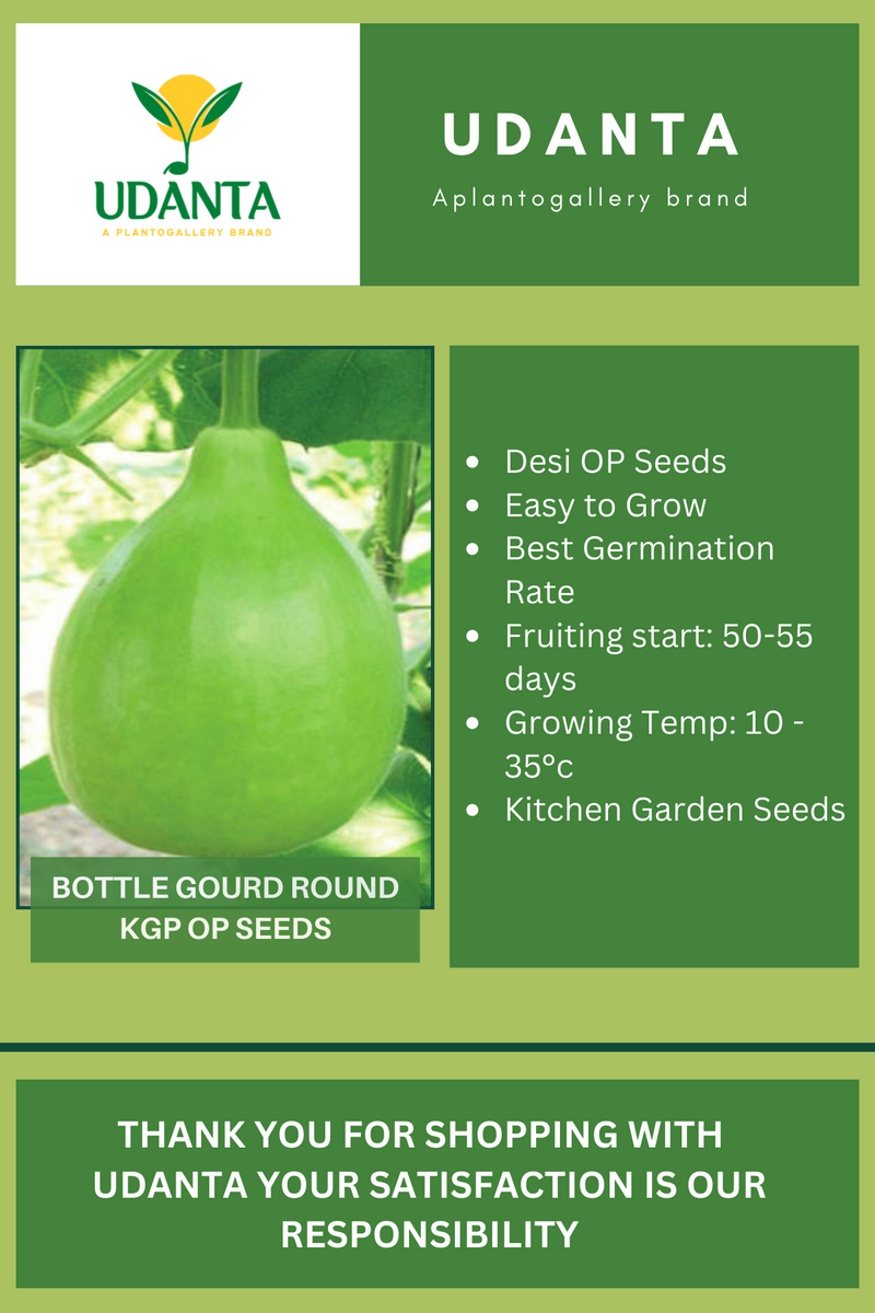 Udanta Bottle Gourd Round Vegetable Seeds For Kitchen Garden Avg 20 Seeds Pkts