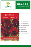 Udanta Imported Flower Seeds - Butterfly Pansy Viola Del Pansiero Gigante Svizzera Rossa Winter Flower Seeds - Qty - 0.8Gm (Red)