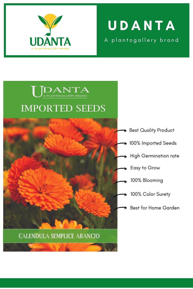 calendula-seeds