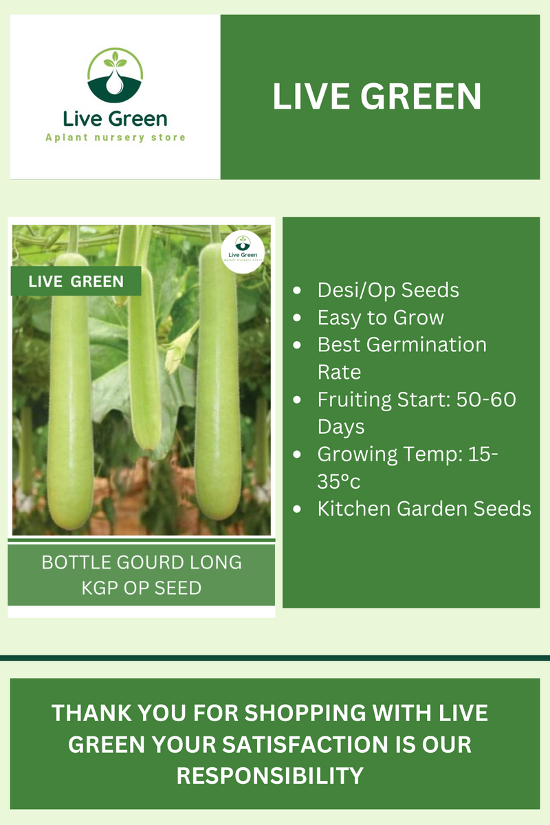 Live Green Bottle gourd long Vegetable Seeds - Pack of 20 Seeds (OP)