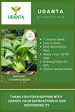 Udanta Pak Choi Vegetable Seeds For Kitchen Garden Avg 30-40 Seeds Pkts