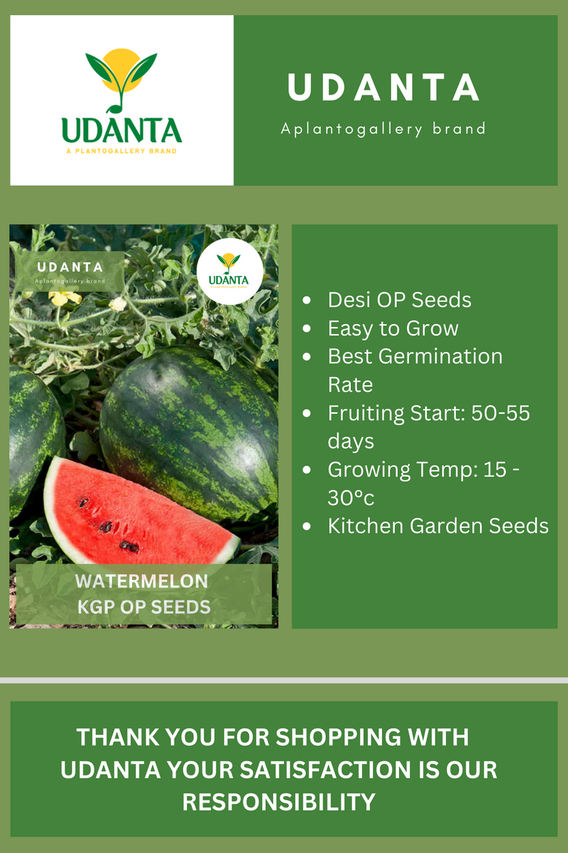 Udanta Watemelon Vegetable Seeds For Kitchen Garden Avg 20 Seeds Pkts