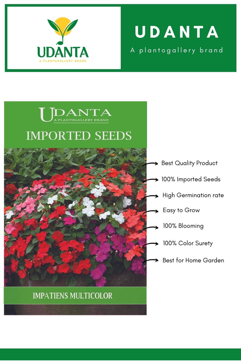 flower seeds for garden