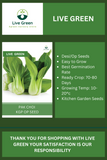 Live Green Pak choi Green Vegetable Seeds - Pack of 30 Seeds (OP)