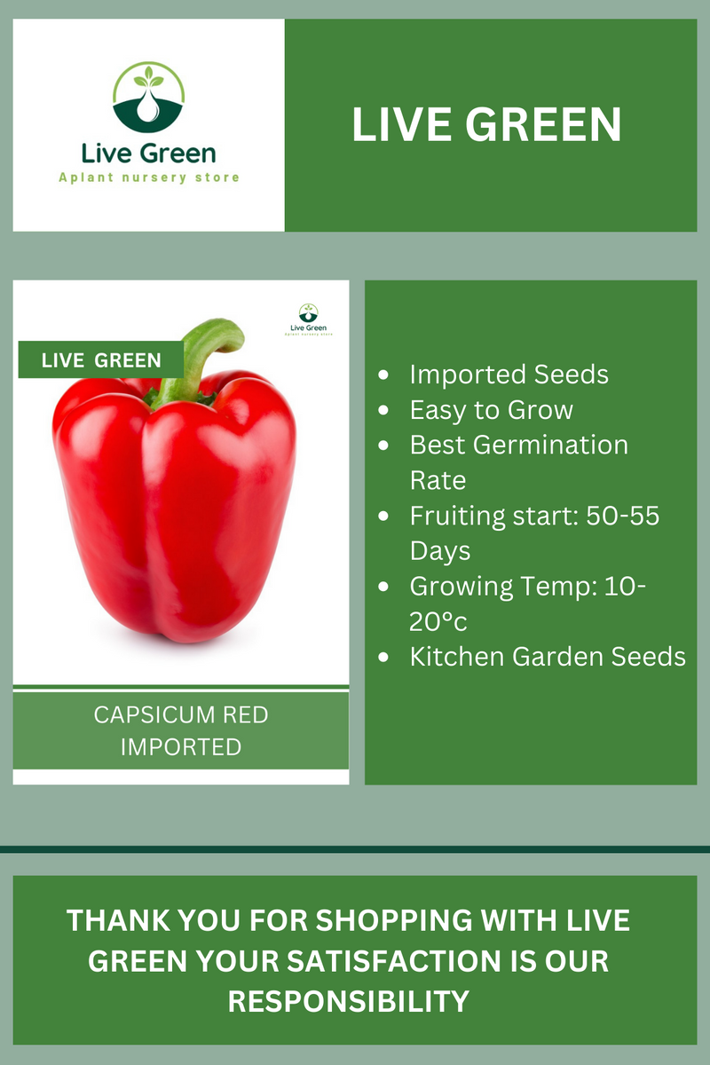 Live Green Capsicum Red Imported Vegetable Seeds - Pack of 10 Seeds