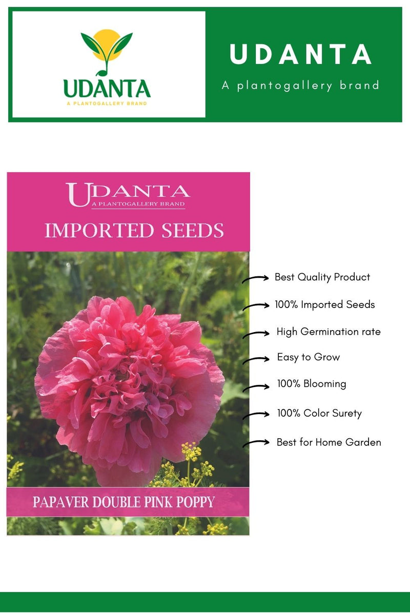 Udanta Imported Flower Seeds - Papavero Rhoeas Fiori Doppi Poppy Flower Seeds - Qty 2Gm (Double Pink)